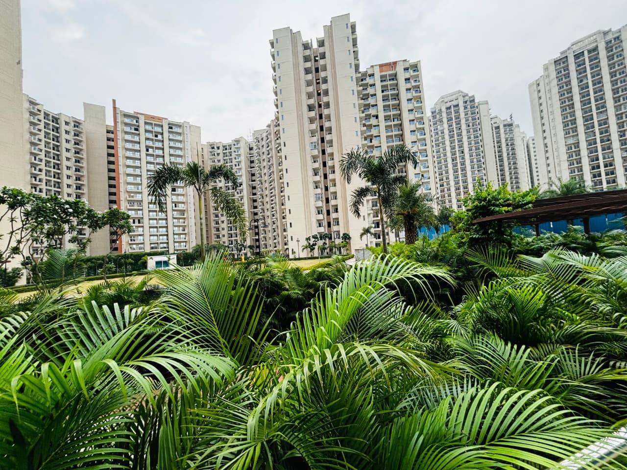 oasis luxury suites oasis luxury suites 2BHK yamuna expressway